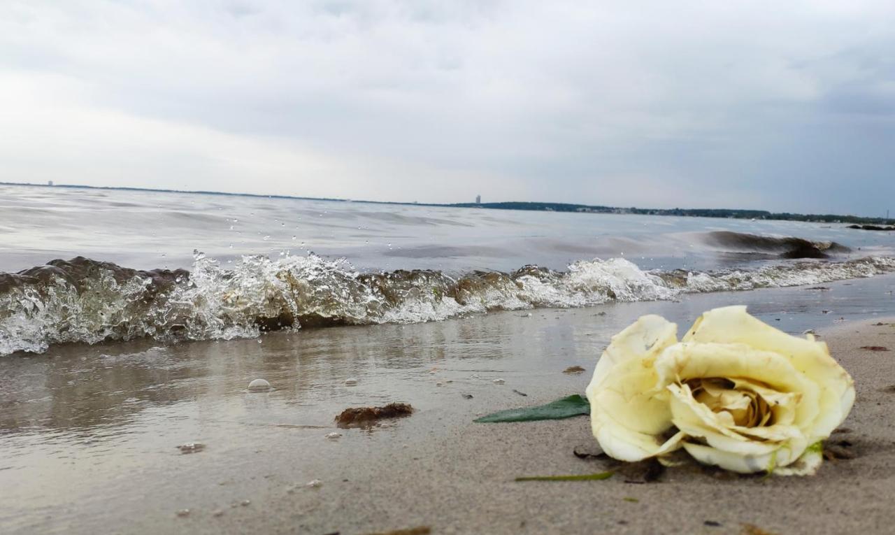 Appartamento Zum Wohlfuhlen Fur 4 Erwachsene +1 Kind, Schwimmbad Vor Der Tur Tiere Erlaubt Sierksdorf Esterno foto