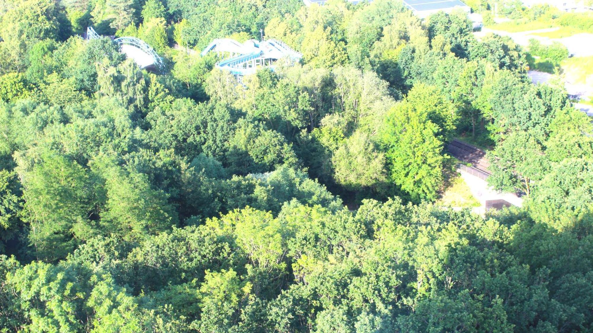 Appartamento Zum Wohlfuhlen Fur 4 Erwachsene +1 Kind, Schwimmbad Vor Der Tur Tiere Erlaubt Sierksdorf Esterno foto